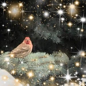 Meet your Posher, Edith